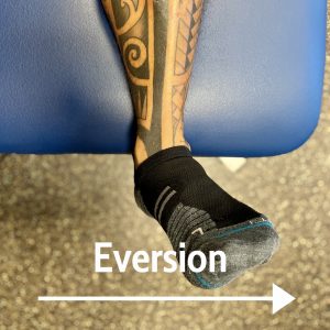ankle eversion