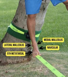 Landmarks for the ottowa ankle rules